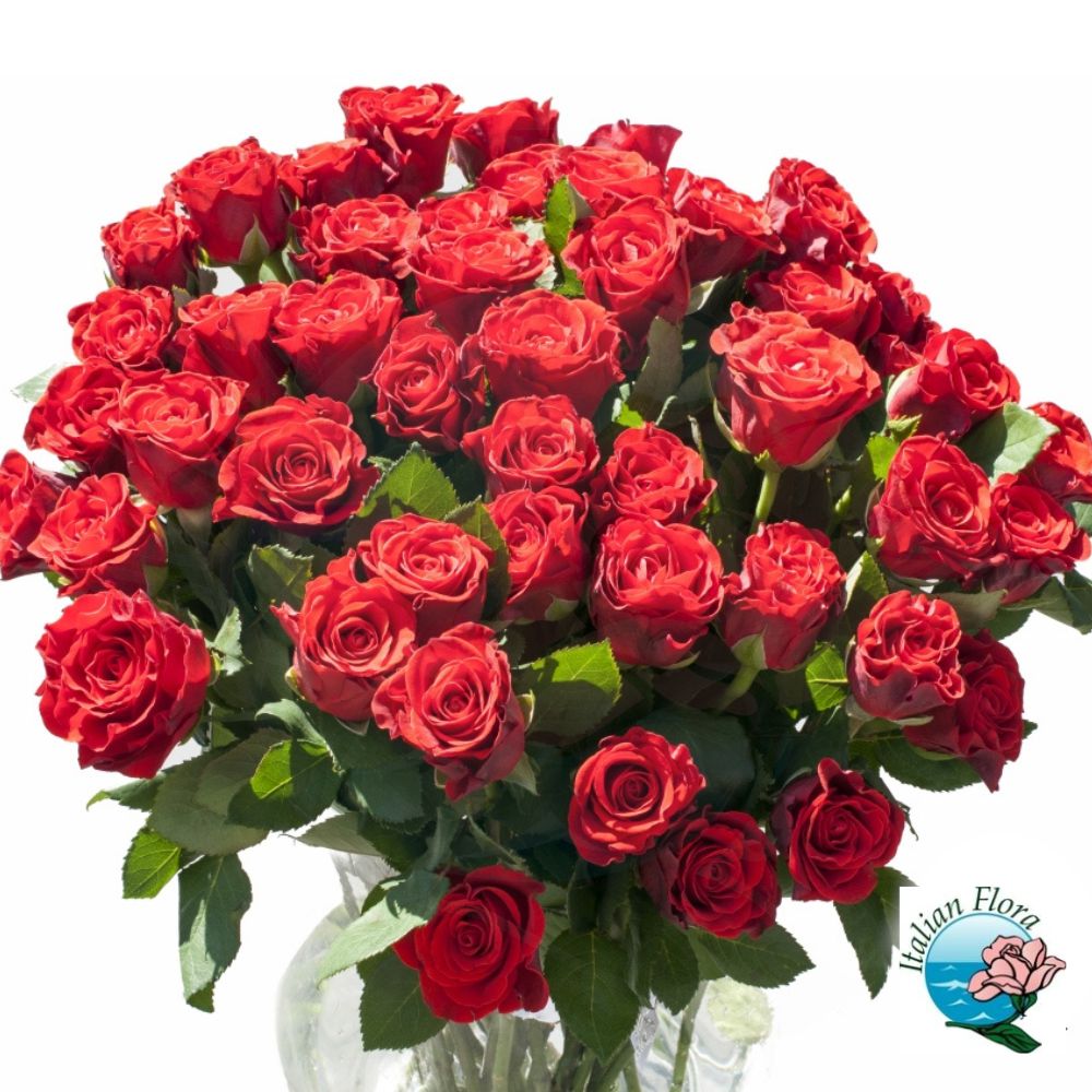 Bouquet 20 rose rosse e rosa bianca al centro
